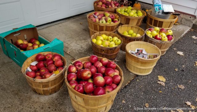 OMP Photo Roundup: Happy Kids, Santa, Cider Pressing & More 11 November 2019: Old Mission Peninsula Historical Society Cider Pressing at Dean and Laura Johnson's House on the Old Mission Peninsula | Jane Boursaw Photo