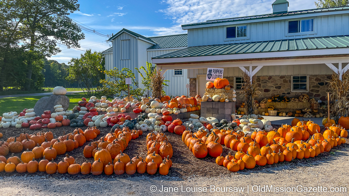 Farm Stand Fare: Local Yokels New Pumpkin Stand (And a New OMP Friend) 1 Local Yokels' new farm stand, corner of Center Road and Gray Road | Jane Boursaw Photo