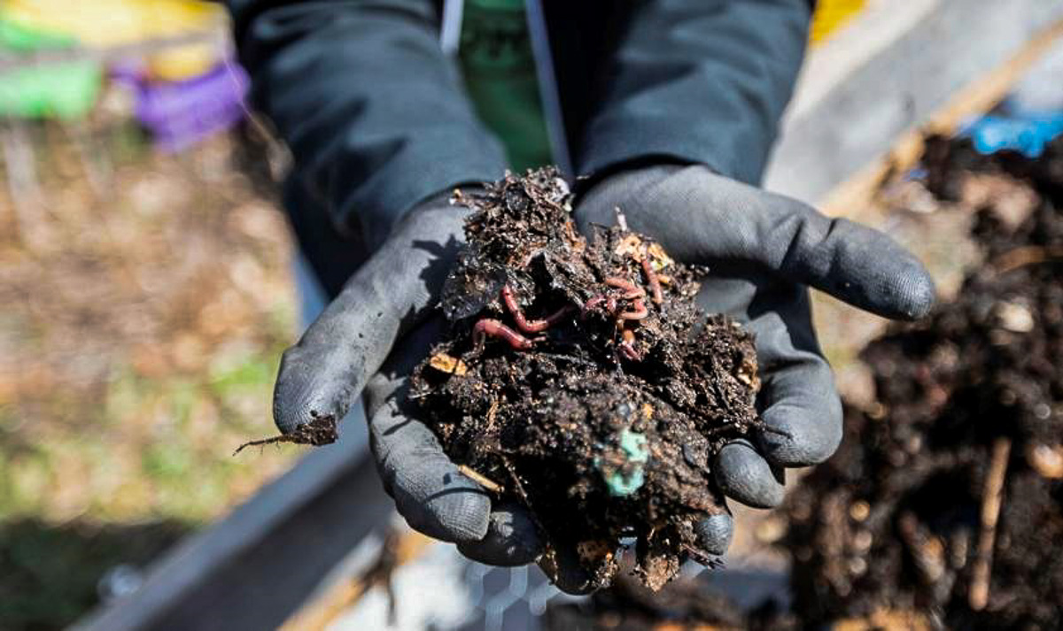 Carter's Compost on the Old Mission Peninsula | Carter's Compost Photo